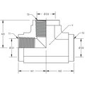 World Wide Fittings Female Pipe Tee Stainless Steel 5605X08X08X08SS